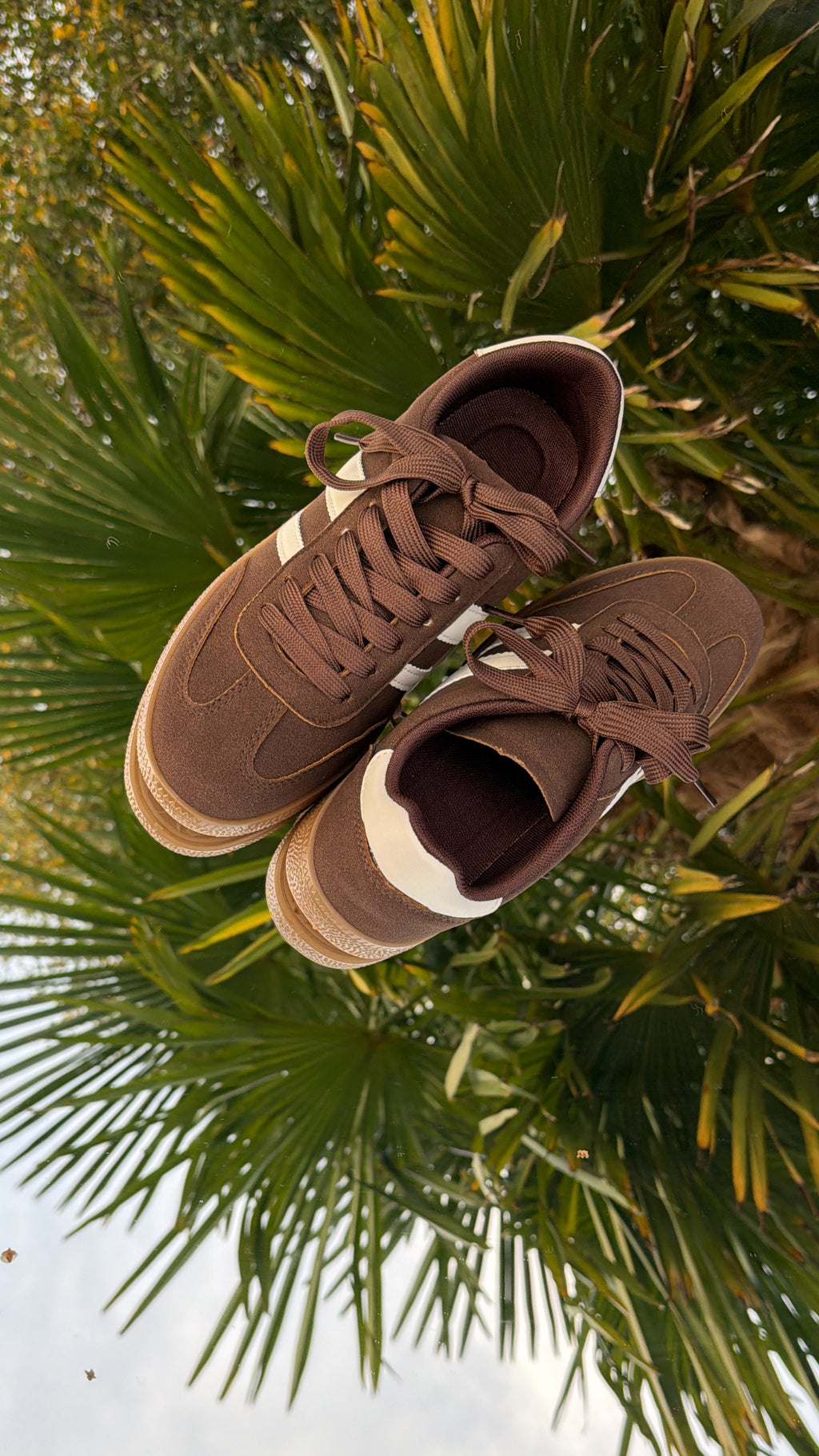 basket marron